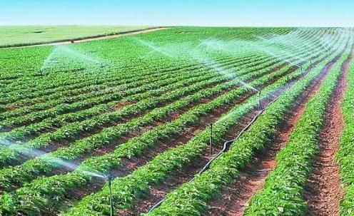 欧美狂操农田高 效节水灌溉